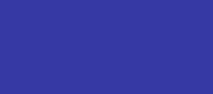 #3639a4 color https://www.nfinnova.stellar.mystableserver.com/wp-content/uploads/2024/08/3639a4-color.jpg